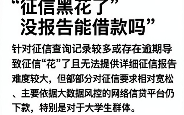 征信黑花了没报告能借款吗,汇整5个大学生可以使用的app