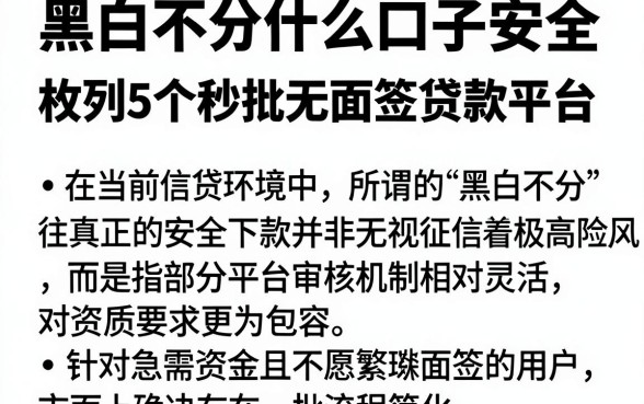 黑白不分什么口子安全,枚举5个秒批无面签贷款平台