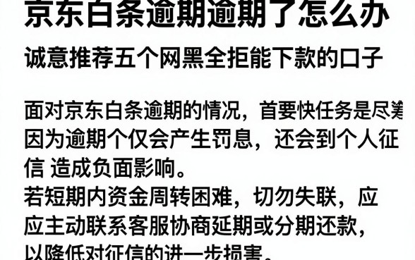 京东白条逾期逾期了怎么办，诚意推荐五个网黑全拒能下款的口子