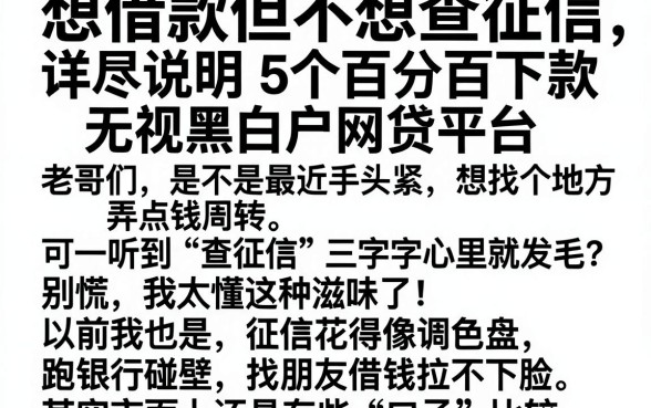 想借款但不想查征信，详尽说明5个百分百下款无视黑白户网贷平台