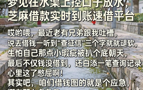 梦见在水渠上控口子放水,胪列五个芝麻借款实时到账速借平台