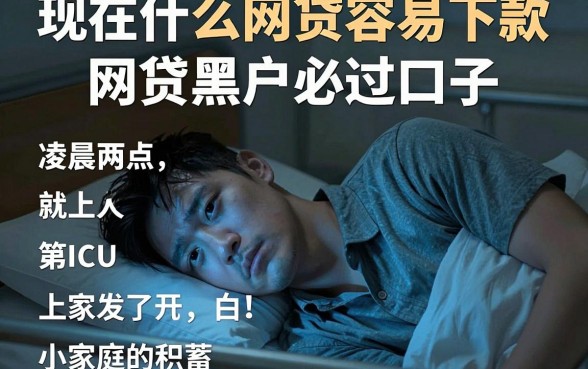 现在什么网贷容易下款,整合五个网贷黑户必过口子