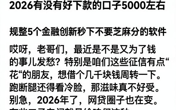 2026有没有好下款的口子5000左右,规整5个金融创新秒下不要芝麻分的软件