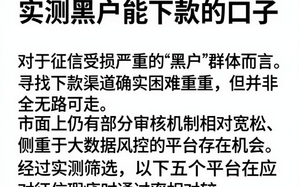 实测黑户能下款的口子，罗列五个黑户能下款的app