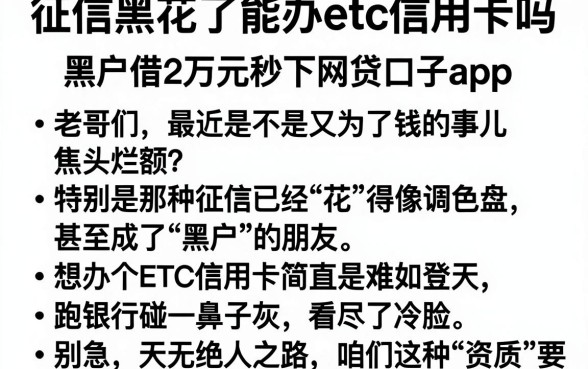 征信黑花了能办etc信用卡吗,胪列五个黑户借2万元秒下网贷口子app