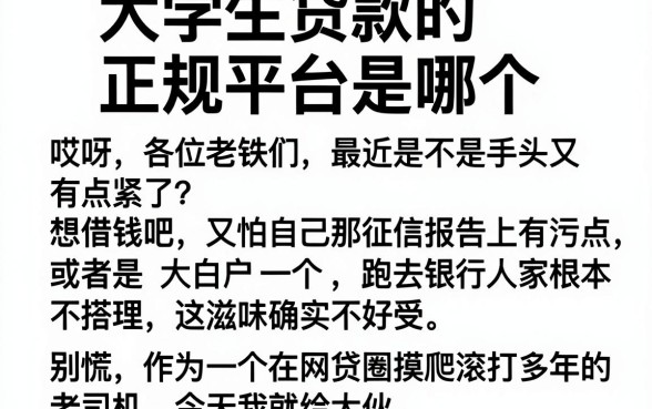 大学生贷款的正规平台是哪个，枚举五个低门槛不查征信的app
