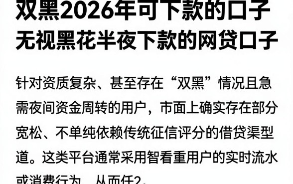 双黑2026年可下款的口子,筛选五个无视黑花半夜下款的网贷口子