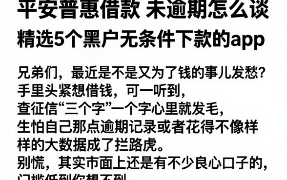 平安普惠借款未逾期怎么谈，精选5个黑户无条件下款的app