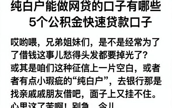 纯白户能做网贷的口子有哪些，概括5个公积金快速贷款口子