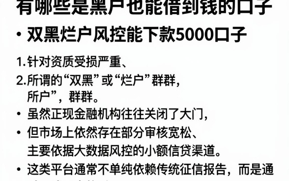 有哪些是黑户也能借到钱的口子，详尽说明五个双黑烂户风控能下款5000口子