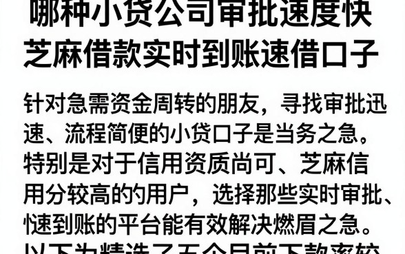 哪种小贷公司审批速度快,规整五个芝麻借款实时到账速借口子