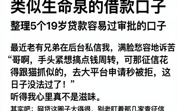 类似生命泉的借款口子，整理5个19岁贷款容易过审批的口子