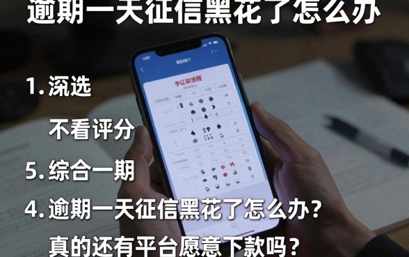 逾期一天征信黑花了怎么办,甄选5个不看综合评分的网贷