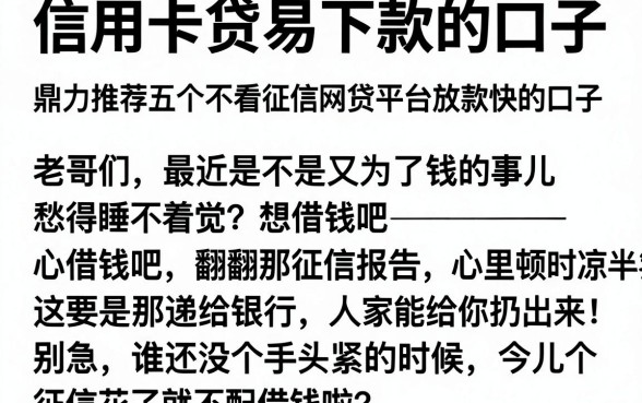 信用卡贷易下款的口子,鼎力推荐五个不看征信网贷平台放款快的口子