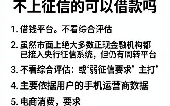 不上征信的可以借款吗，条列5个借钱平台不看综合评估的平台