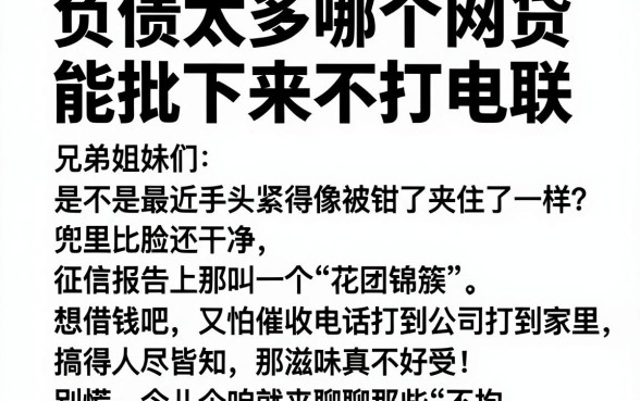 负债太多哪个网贷能批下来不打电联,整理五个网贷口子风控不严的平台