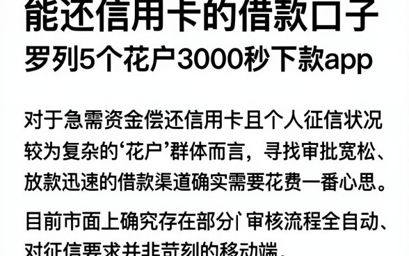 能还信用卡的借款口子,罗列5个花户3000秒下款app