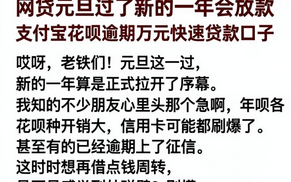 网贷元旦过了新的一年会放款，胪列五个支付宝花呗逾期万元快速贷款口子