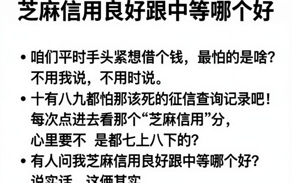芝麻信用良好跟中等哪个好,详细阐述五个征信不好负债高的口子