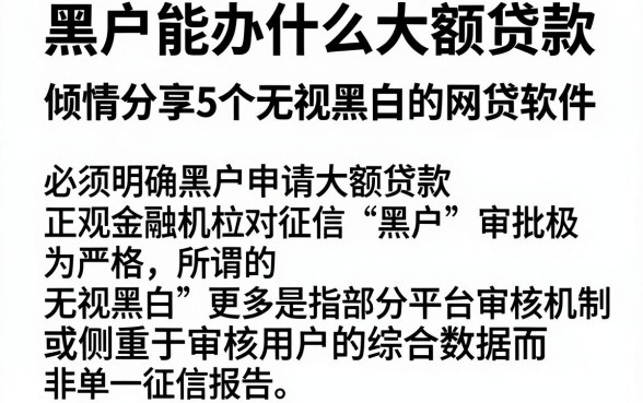 黑户能办什么大额贷款,倾情分享5个无视黑白的网贷软件
