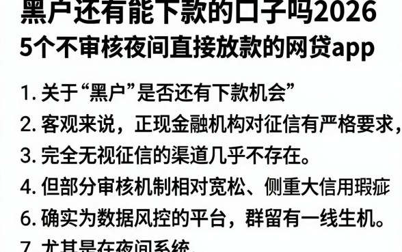 黑户还有能下款的口子吗2026，梳理5个不审核夜间直接放款的网贷app