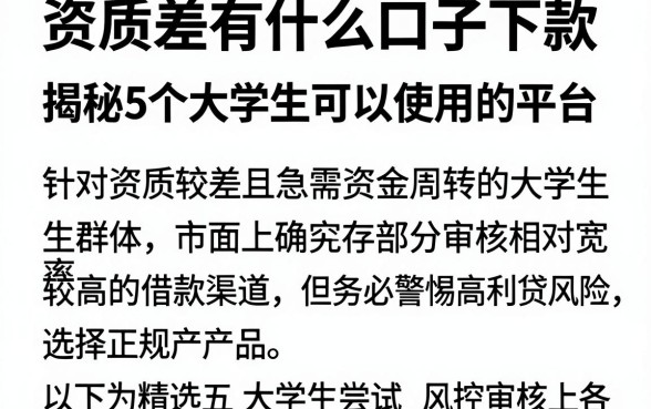 资质差有什么口子下款,揭秘5个大学生可以使用的平台