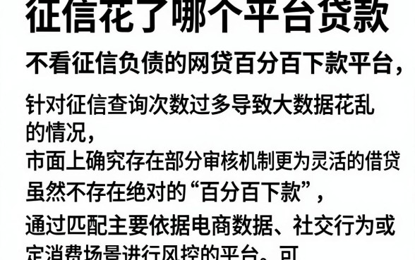 征信花了哪个平台贷款,理出五个不看征信负债的网贷百分百下款平台