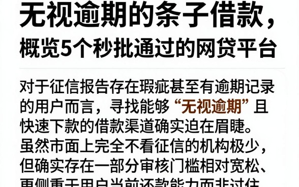 无视逾期的条子借款,概览5个秒批通过的网贷平台