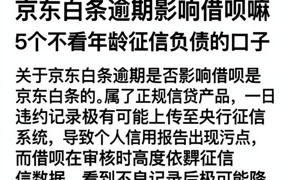 京东白条逾期影响借呗嘛,揭秘5个不看年龄征信负债的口子