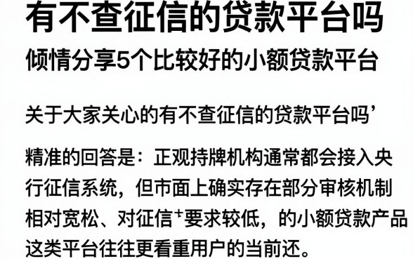 有不查征信的贷款平台吗，倾情分享5个比较好的小额贷款平台