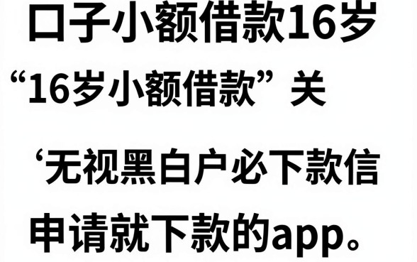 口子小额借款16岁,概括5个无视黑白无视征信申请就下款的app
