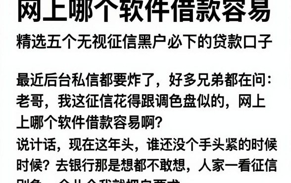 网上哪个软件借款容易,精选五个无视征信黑户必下的贷款口子