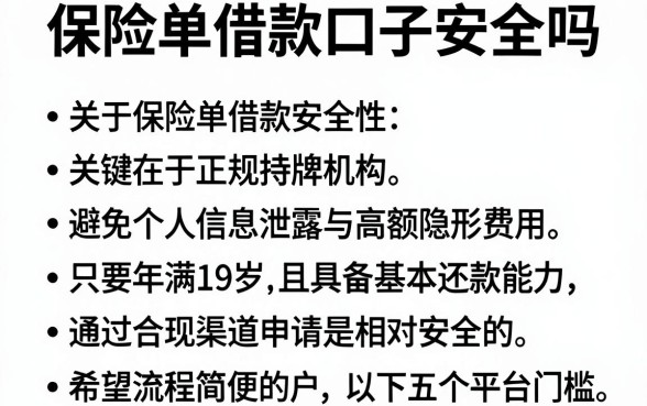 保险单借款口子安全吗,理出五个满19岁可以借款的app