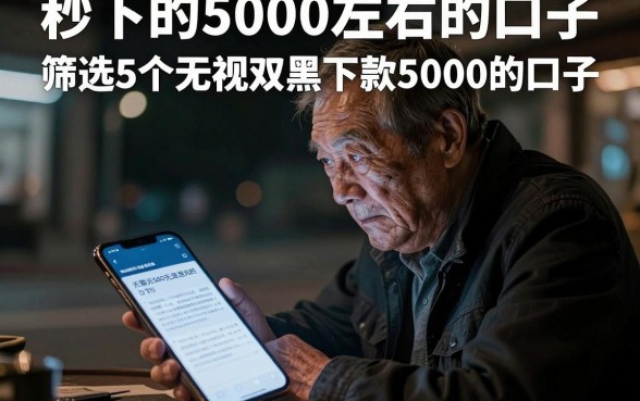 秒下的5000左右的口子,筛选5个无视双黑下款5000的口子