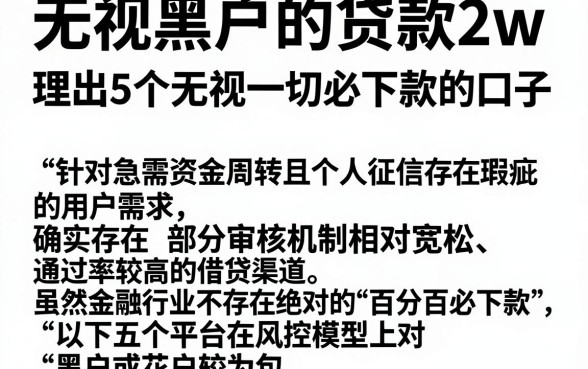 无视黑户的贷款2w,理出5个无视一切必下款的口子