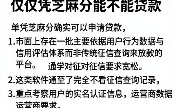仅仅凭芝麻分能不能贷款，详尽说明5个不看征信查询的软件