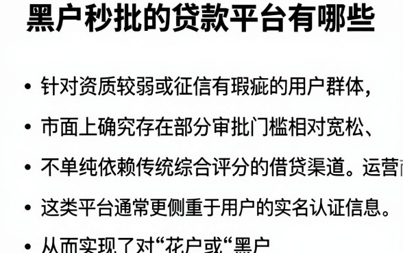 黑户秒批的贷款平台有哪些,筛选五个不看综合评分的网贷