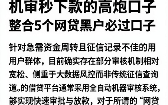 机审秒下款的高炮口子,整合5个网贷黑户必过口子