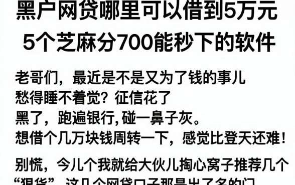 黑户网贷哪里可以借到5万元,概括5个芝麻分700能秒下的软件