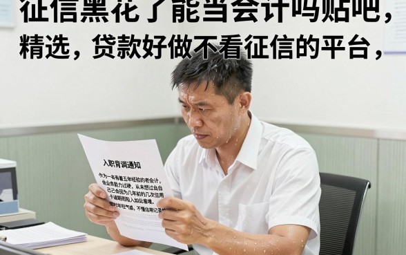 征信黑花了能当会计吗贴吧,精选五个贷款好做不看征信的平台