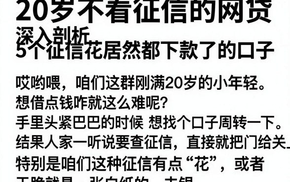 20岁不看征信的网贷，深入剖析5个征信花居然都下款了的口子