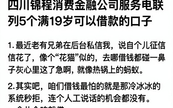 四川锦程消费金融公司服务电联，胪列5个满19岁可以借款的口子
