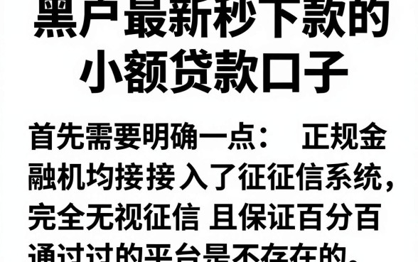黑户最新秒下款的小额贷款口子,精选五个无视黑白百分百下款的借款平台
