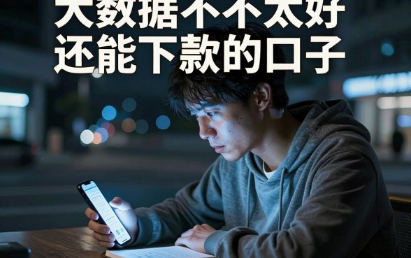 大数据不太好还能下款的口子,整理五个周周到贷款相同系列的app