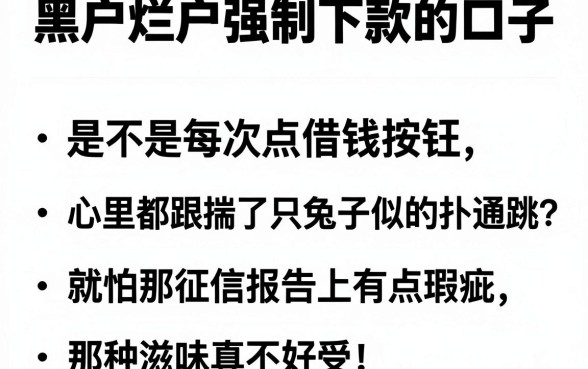 黑户烂户强制下款的口子，归纳五个黑户都能下的平台