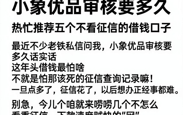 小象优品审核要多久，热忱推荐五个不看征信的借钱口子