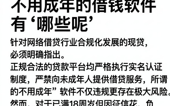 不用成年的借钱软件有哪些呢,概括5个综合评分不足也能下款的网贷