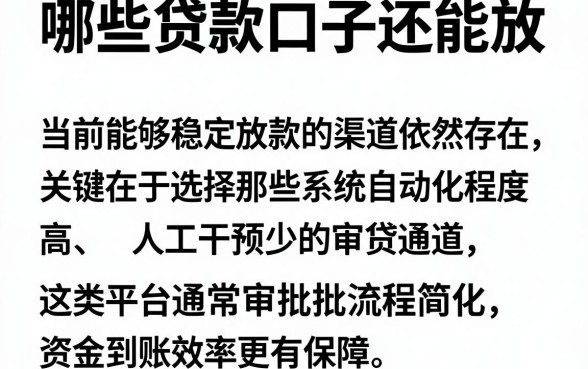 哪些贷款口子还能放，陈列五个审贷口子审核加快的平台