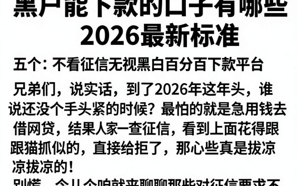 黑户能下款的口子有哪些2026最新标准，概览五个不看征信无视黑白百分百下款平台