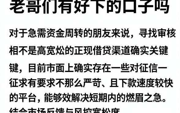 老哥们有好下的口子吗,陈列五个黑白贷款不是高炮的平台